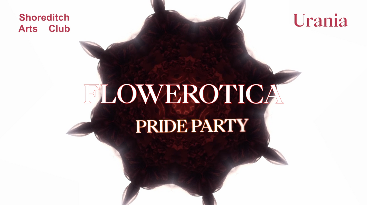 Flowerotica Launch Party - Meet the Artists
