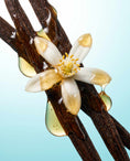 Load image into Gallery viewer, Divine Nectar Eau de Parfum