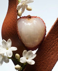 Load image into Gallery viewer, Fluid Nature Eau de Parfum