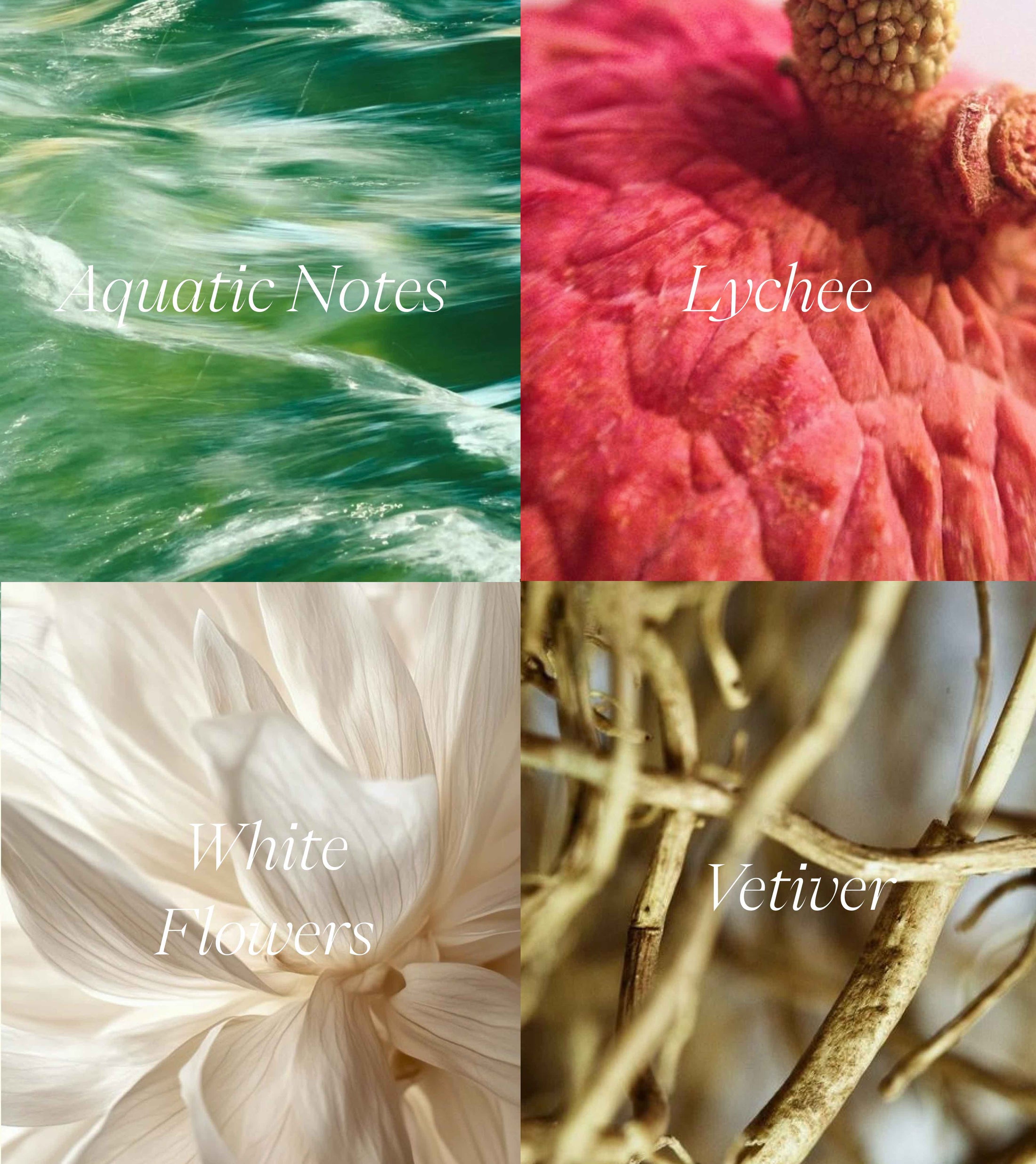 Fluid Nature Eau de Parfum
