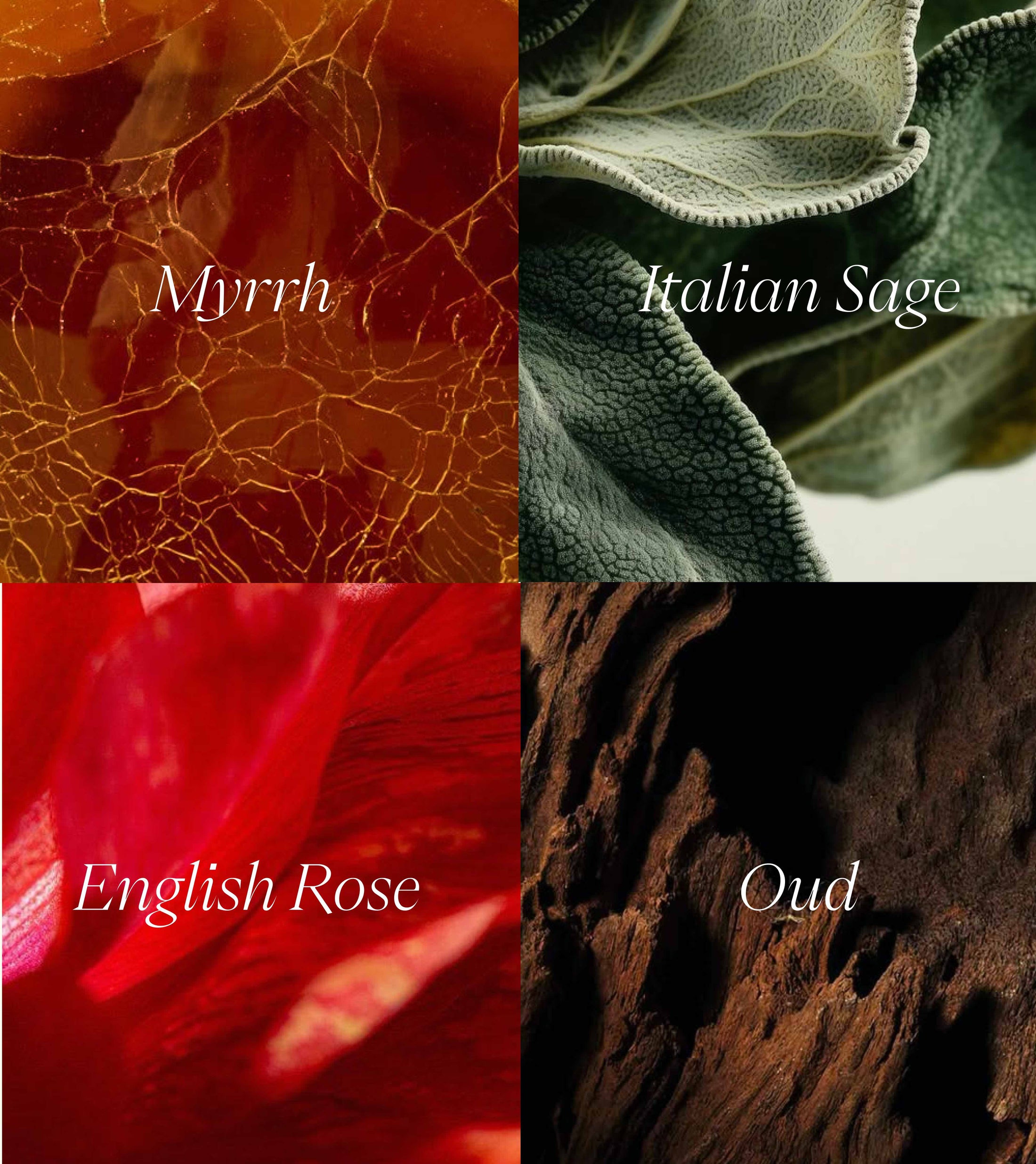 Lance of Love Eau de Parfum