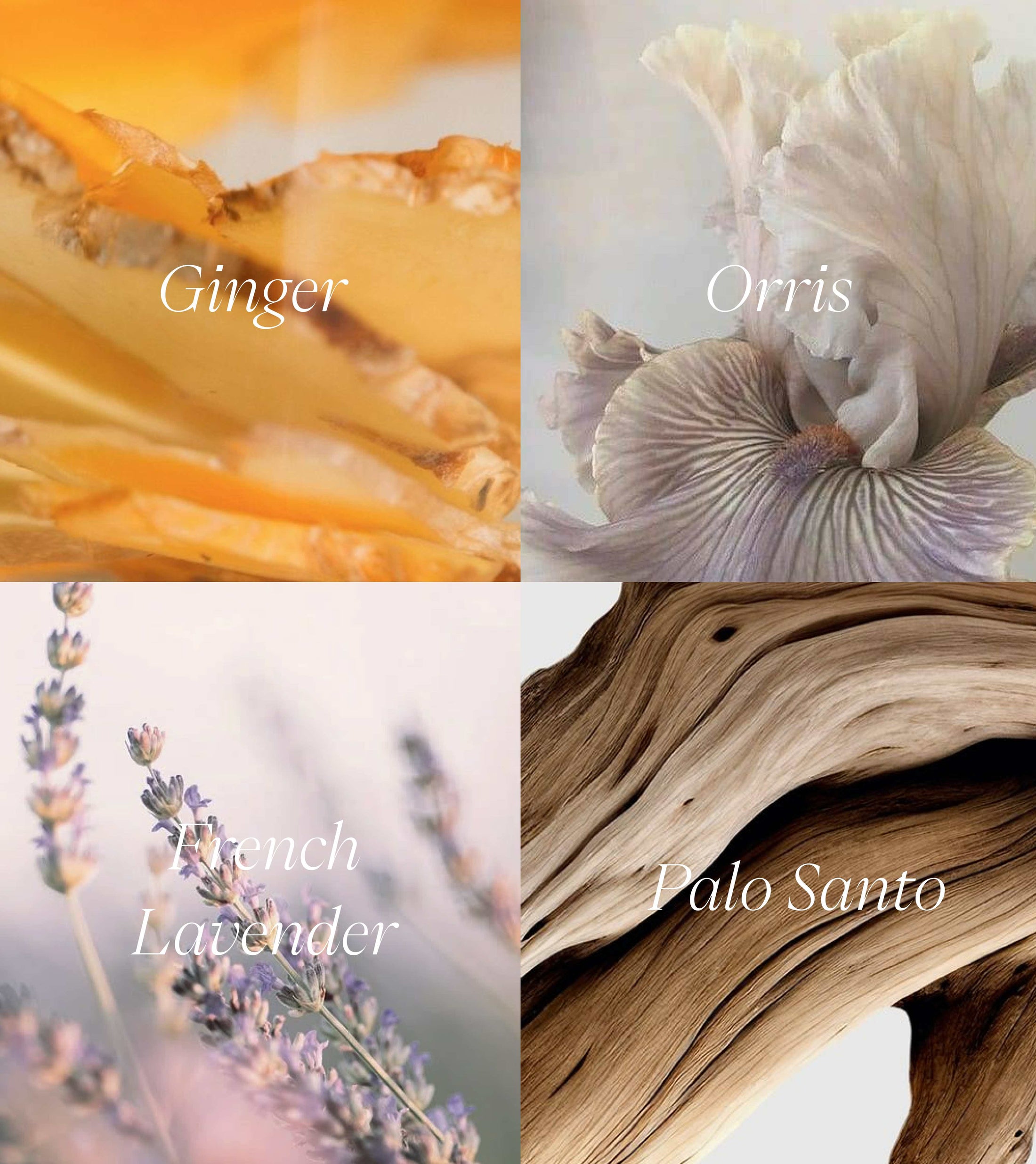 Self-Mythology Eau de Parfum