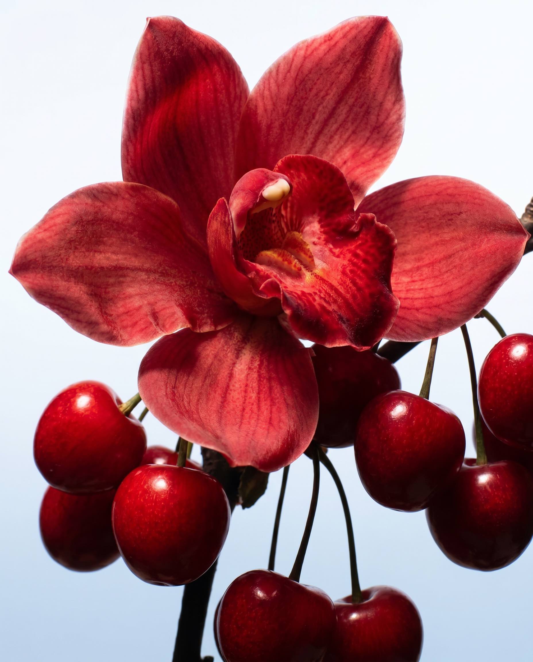 Flowerotica Eau de Parfum