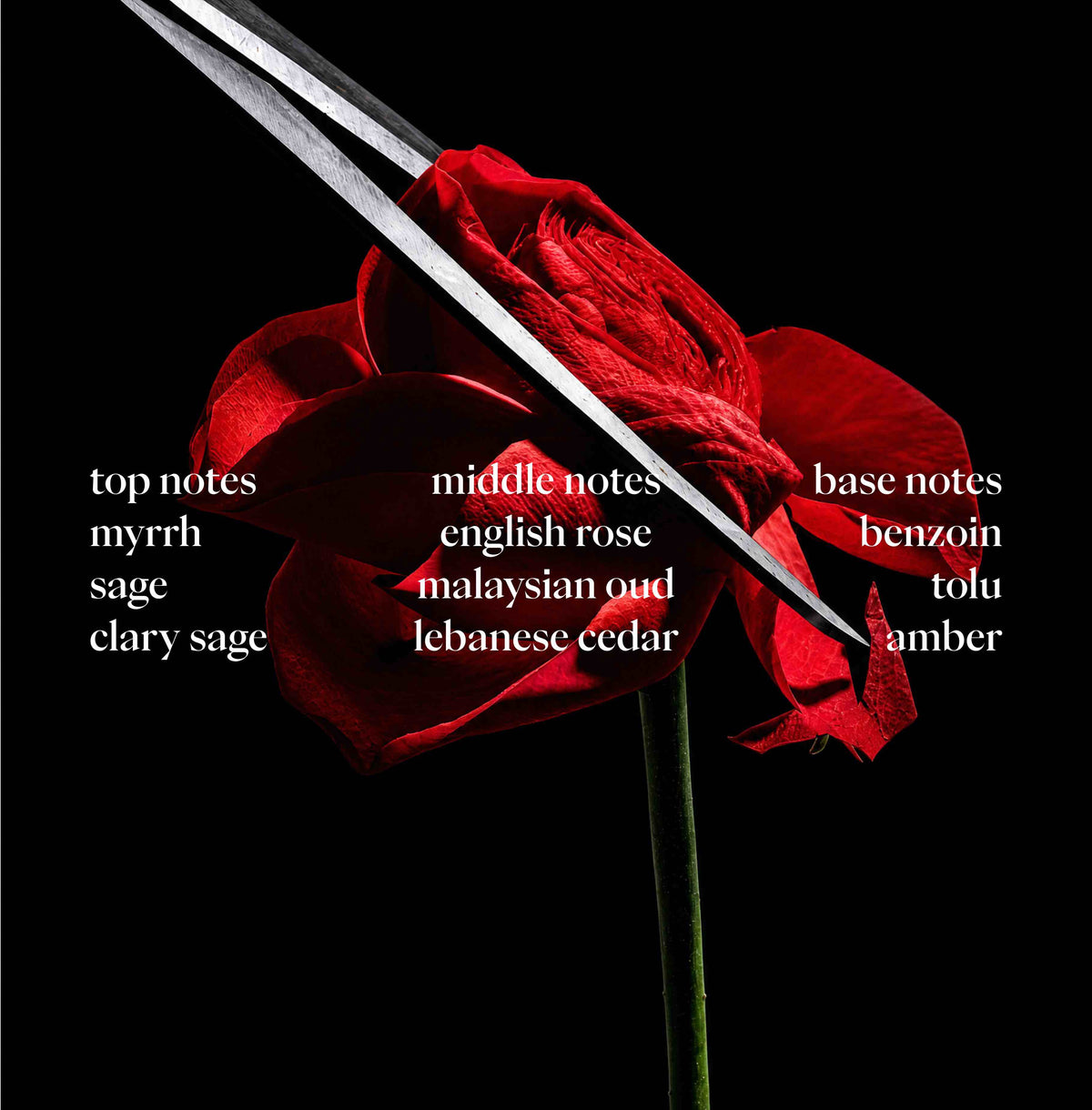 Lance of Love Eau de Parfum