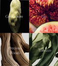 Load image into Gallery viewer, Queer Magic Eau de Parfum
