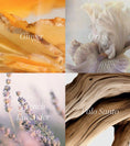 Load image into Gallery viewer, Self-Mythology Eau de Parfum

